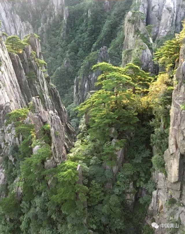 畅谈心声,畅游如何才能提高自己的审美